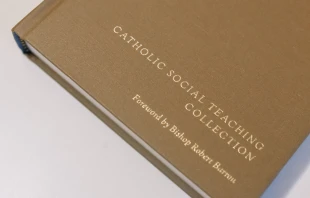 Catholic Social Teaching Collection Word on Fire